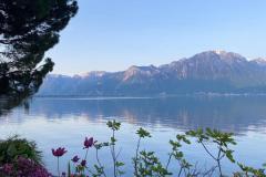 IMG_2250-rotated
