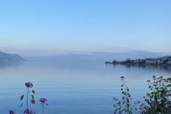 IMG_2251-rotated
