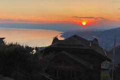 cf503fba-968a-4ef2-86df-377dd16bd980