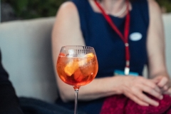 SwissHLG.sunday.1@timonbachmann_168